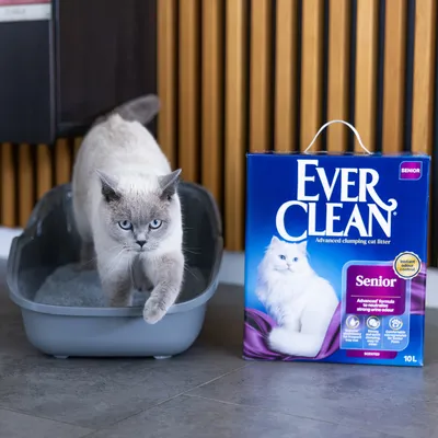 Ever Clean® Senior Advanced Clumping Cat Litter - Scented - 10l Ever Clean® Senior Advanced Clumping Cat Litter - Scented - 10l
