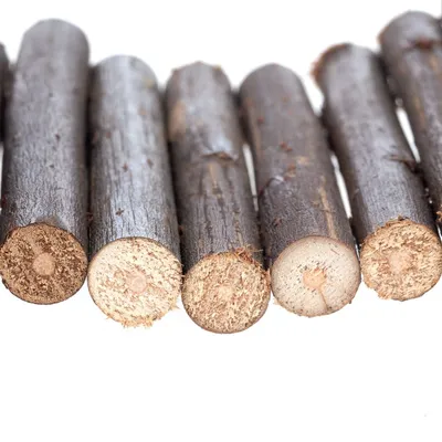 Rangée de bâtonnets ronds en bois brut, alignés horizontalement sur fond blanc, extrémités visibles. Aucun texte ou marque apparente.