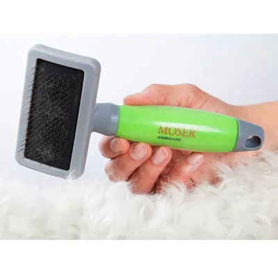 Brosse à poils fins avec manche vert MOSER ANIMALLINE, utilisée sur un pelage blanc bouclé. Manche en plastique, brosse rectangulaire noire avec poils métalliques.