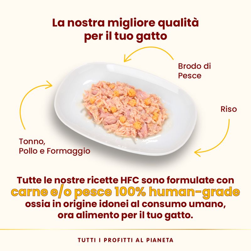 Almo Nature HFC Natural 12 x 70 g umido gatto