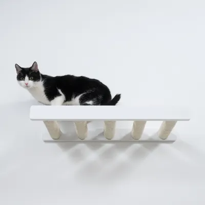 Schwarz-weisse Katze sitzt auf einer weissen Plattform mit vier Kratzsäulen aus Sisal darunter. Produkt zur Nutzung durch Katzen sichtbar.