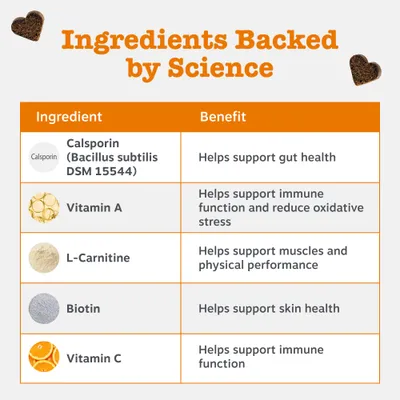 Tabella con i componenti: Calsporin (Bacillus subtilis DSM 15544), vitamina A, L-carnitina, biotina, vitamina C e i loro effetti benefici sulla salute e sul sistema immunitario.