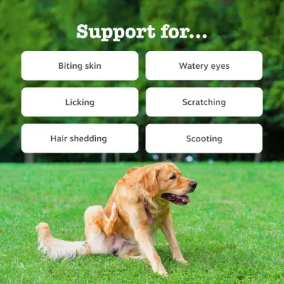 Zesty Paws Allergy & Immunity Chews Laks