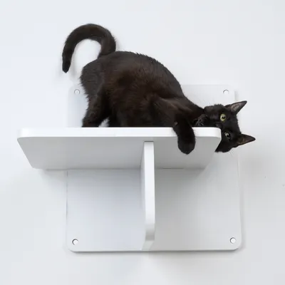 Gatto nero sdraiato su un supporto da parete bianco a due livelli. Il prodotto è utilizzato come mobile o superficie per gatti.