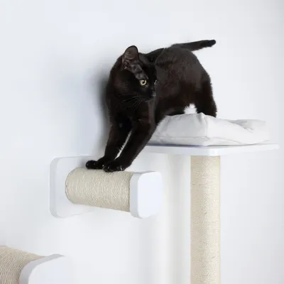 Gatto nero su tiragraffi bianco con rullo in sisal e superficie imbottita per sdraiarsi.