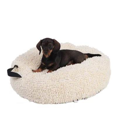 Petit chien allongé sur un coussin rond en tissu bouclé beige avec poignée noire visible sur le côté gauche. Aucun texte ou marque visible.