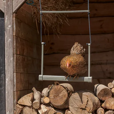 Huhn sitzt auf einer Hühnerwippe aus Metall, aufgehängt mit Seilen in einem Holzschuppen über gestapeltem Brennholz.