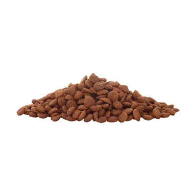 Croquettes marron en vrac, sans emballage ni marque visible, présentées sur fond blanc.