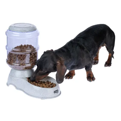Dog eating from a grey food dispenser with a transparent container filled with dry food. Zooplus logo visible on the dispenser.