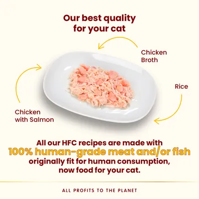 Kuracie s lososom, kurací vývar a ryža na tanieri. Všetky HFC recepty obsahujú 100 % mäso alebo ryby v kvalite pre ľudskú spotrebu. All profits to the planet.