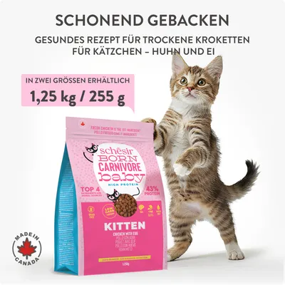 Schesir Born Carnivore Baby Kitten Trockenfutter mit Huhn und Ei, schonend gebacken. Erhältlich in 1,25 kg und 255 g. Made in Canada, 43% Protein, getreidefrei.