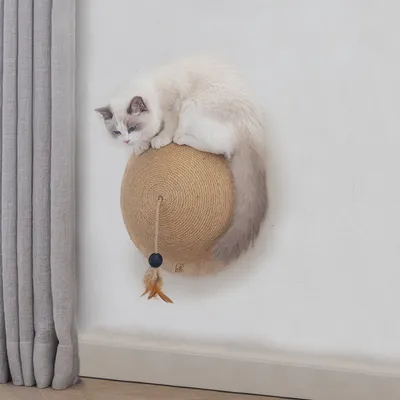 Designed by Lotte Halber Kratzball Vivi aus Holz