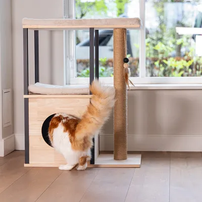 Kratzbaum aus Holz mit Sisal-Kratzsäule, zwei Liegeflächen und Spielzeug. Katze geht in die Höhle des Kratzbaums.