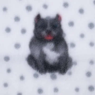 Motif de chat noir flou avec taches blanches et rouges sur fond blanc à pois gris, visible sur un tissu ou une couverture.