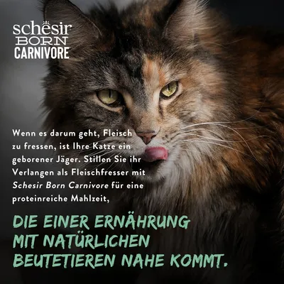 Schesir Born Carnivore. Stillen Sie das Verlangen Ihrer Katze nach Fleisch mit einer proteinreichen Mahlzeit, die einer Ernährung mit natürlichen Beutetieren nahekommt.