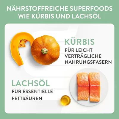 Nährstoffreiche Superfoods: Kürbis für leicht verträgliche Nahrungsfasern und Lachsöl für essentielle Fettsäuren.