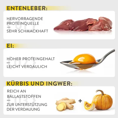 Entenleber: hervorragende Proteinquelle, sehr schmackhaft. Ei: hoher Proteingehalt, leicht verdaulich. Kürbis und Ingwer: reich an Ballaststoffen, Unterstützung der Verdauung.