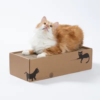 Katzenliege aus Pappe mit Kratzfläche, dekoriert mit schwarzen Katzenmotiven. Orange-weisse Katze liegt darauf.