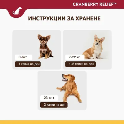 Инструкции за хранене: 0–6 кг – 1 хапка на ден, 7–22 кг – 1–2 хапки на ден, 23 кг+ – 2 хапки на ден. Три снимки на кучета с различно тегло.