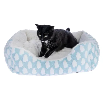 Schwarze Katze in einem hellblauen, gepolsterten Haustierbett mit weissen Wolkenmustern und weicher Innenpolsterung.