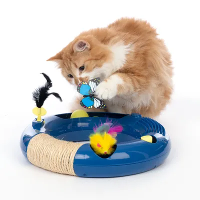 Cat toy: blue round circle with sisal surface, colourful plush mouse and butterfly. Cat interacts with butterfly.