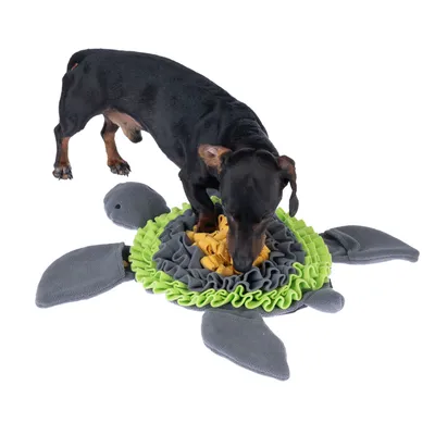 Hund sucht Leckerlis in einer grünen und grauen Schnüffelmatte in Form einer Schildkröte.