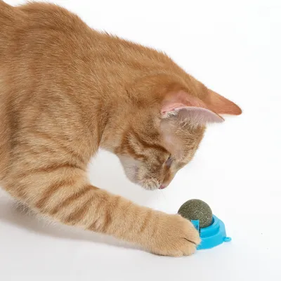 zooplus Basics kattemynteball
