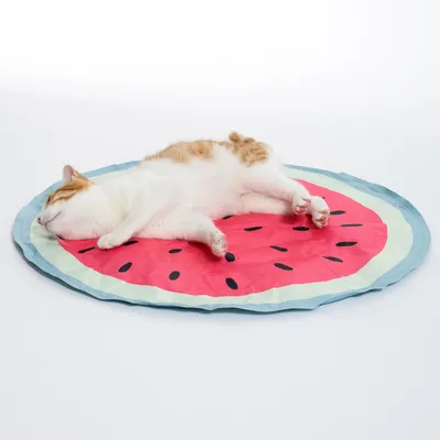 Chat blanc et roux allongé sur un tapis rond motif pastèque, surface lisse en tissu, fond blanc uni. Aucun texte ou marque visible.