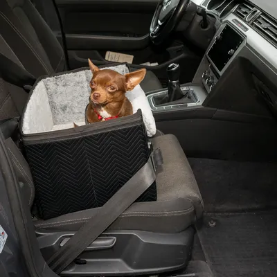 Transportbox mit Sicherheitsgurt auf Autositz, geeignet für kleine Hunde. Innen weich gepolstert, aussen schwarzes Zickzack-Muster.