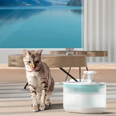 Katzentrinkbrunnen von Petlibro mit modernem Design, neben einer Katze in einem stilvollen Innenraum.