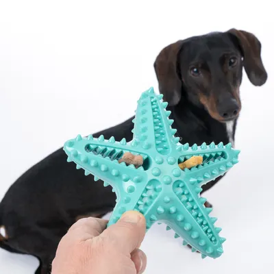 Tyrkysová hviezdicová hračka pre psov s výstupkami a priehradkami na maškrty, v popredí. V pozadí čierny pes s hnedými znakmi.