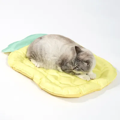Harmaa kissa makaa keltaisella, ananaksen muotoisella, pehmustetulla matolla, jossa on vihreä lehtiyksityiskohta.