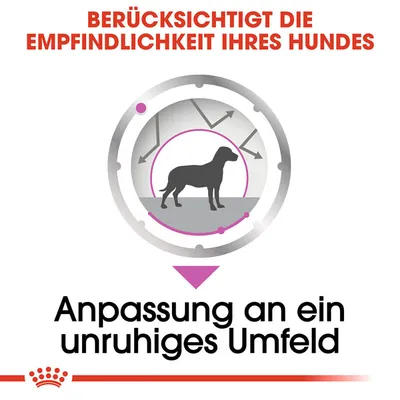 Berücksichtigt die Empfindlichkeit Ihres Hundes. Anpassung an ein unruhiges Umfeld.