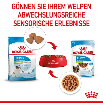 Royal Canin Puppy X-Small für Welpen von 2-10 Monaten. Trockenfutter und Nassfutter mit sensorischen Erlebnissen. Geeignet für Hunde bis 4 kg Körpergewicht.