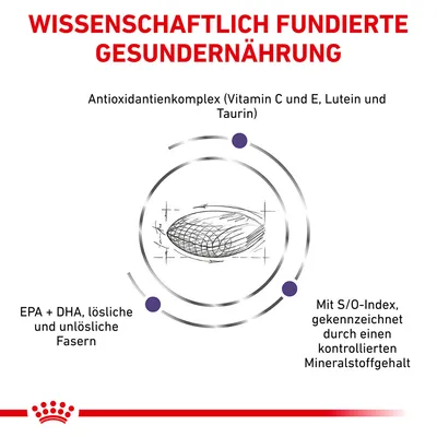 Wissenschaftlich fundierte Gesundernährung mit Antioxidantienkomplex (Vitamin C und E, Lutein, Taurin), EPA + DHA, lösliche und unlösliche Fasern, S/O-Index für kontrollierten Mineralstoffgehalt.