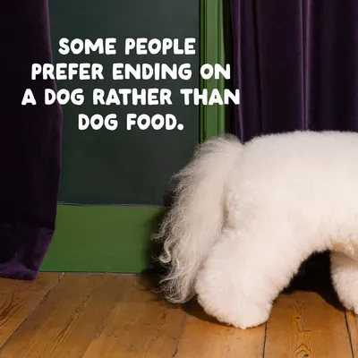 Edgard & Cooper Adult Zalm Graanvrij voor honden