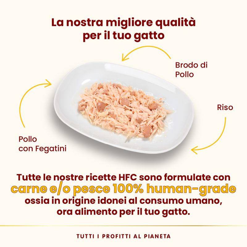 Almo Nature HFC Natural 12 x 70 g umido gatto