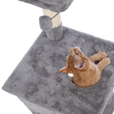 Grey scratching post with sisal pole and hanging play ball, cat sitting on the platform looking up.