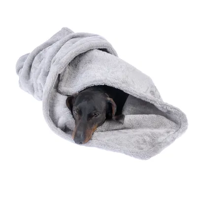 Dog lying in a grey cuddly blanket made of soft material, suitable as a sleeping place or for snuggling.