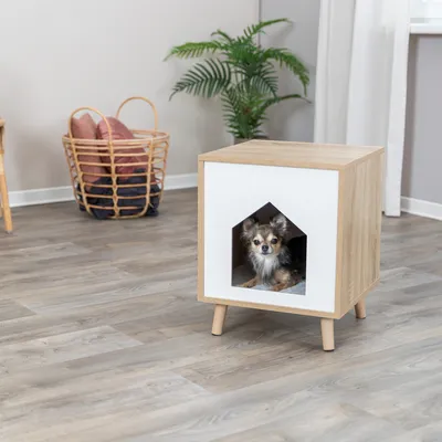 Wooden pet furniture with white front and house-shaped entrance. Small dog sitting inside on grey cushion.