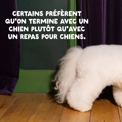 Edgard & Cooper Medium Senior Dog Poulet et saumon sans céréales