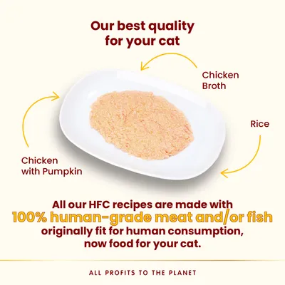 Chicken with pumpkin, chicken broth and rice on a plate. Text: Our best quality for your cat. All our HFC recipes are made with 100% human-grade meat and/or fish. All profits to the planet.