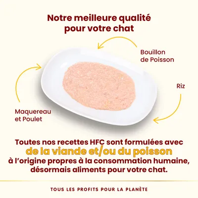 Lot Almo Nature HFC Mousse 24 x 70 g pour chat