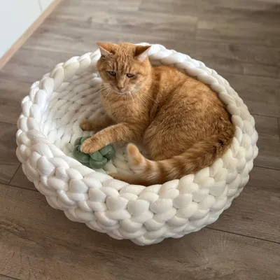 Chat roux allongé dans un panier rond en grosse maille blanche, avec un jouet vert en forme de patte à l’intérieur. Panier posé sur un sol en bois clair.