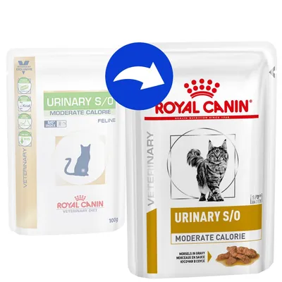 Changement d’emballage Royal Canin Urinary S/O Moderate Calorie pour chat, sachets 100 g. Ancien et nouveau design visibles avec photo de chat et texte identique sur les deux paquets.