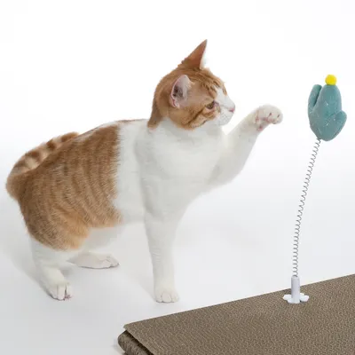 Spielzeug mit Federmechanismus und grünem Stofftier, das von einer Katze auf einer Kratzmatte angestupst wird.