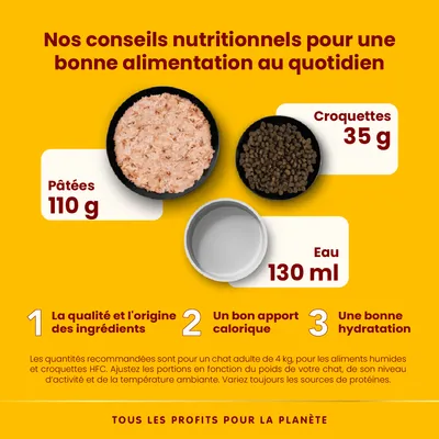 Conseils nutritionnels pour chat adulte 4 kg : pâtées 110 g, croquettes 35 g, eau 130 ml. Qualité des ingrédients, apport calorique, bonne hydratation. Variez les sources de protéines.