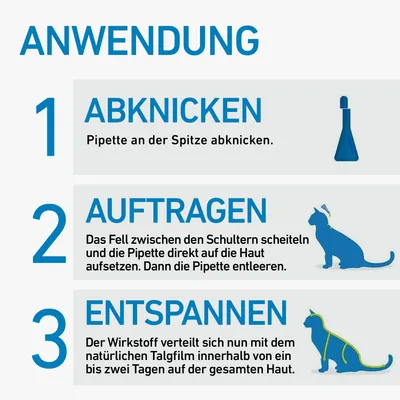 Anwendung in drei Schritten: 1. Pipette an der Spitze abknicken. 2. Fell zwischen den Schultern scheiteln, Pipette auf die Haut setzen und entleeren. 3. Wirkstoff verteilt sich innerhalb von zwei Tagen.