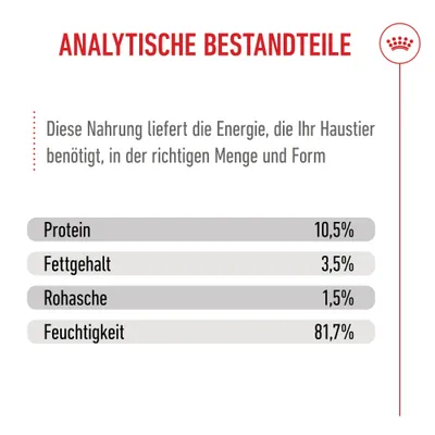 Royal Canin Sterilized Kitten in Gelee