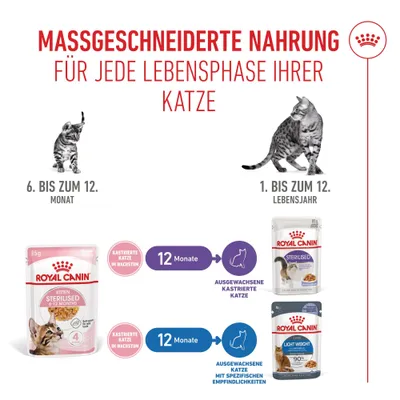 Royal Canin Sterilized Kitten in Gelee
